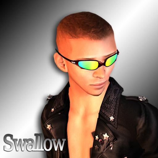 MOLINARO VISION - Swallow (K_gs)